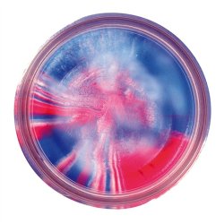 Powerbait Hvidlg | 3 for 120,-